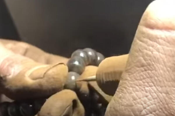Video 13